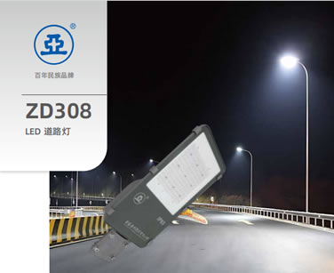 ZD308 LED 道路灯